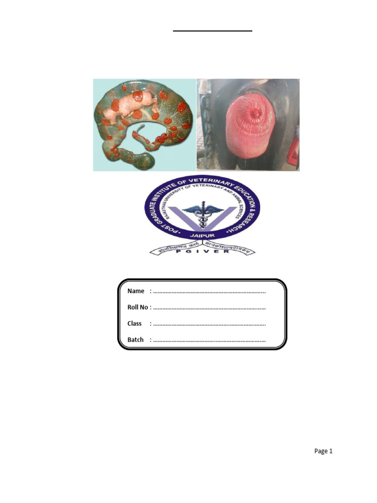 VGO Unit-2 Veterinary Obstetrics | PDF | Pelvis | Uterus