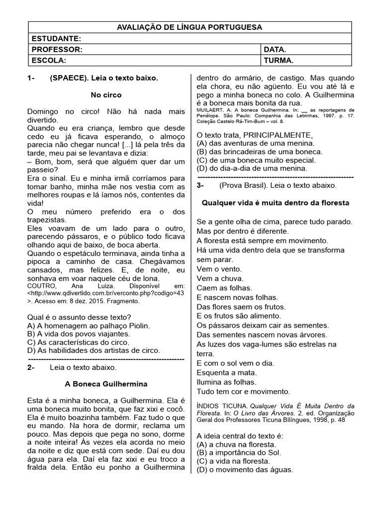 Avaliação de Lingua Portuguesa | PDF