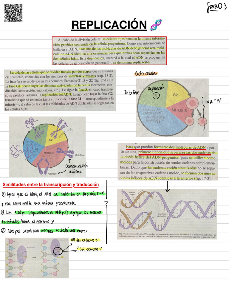 REPLICACIÓN. Biología | PDF | Replicación De Adn | Adn