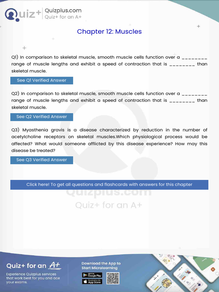 In Comparison To Skeletal Muscle Smooth Muscle Cells Function Over A ...