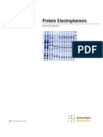 1D eletrophoresis