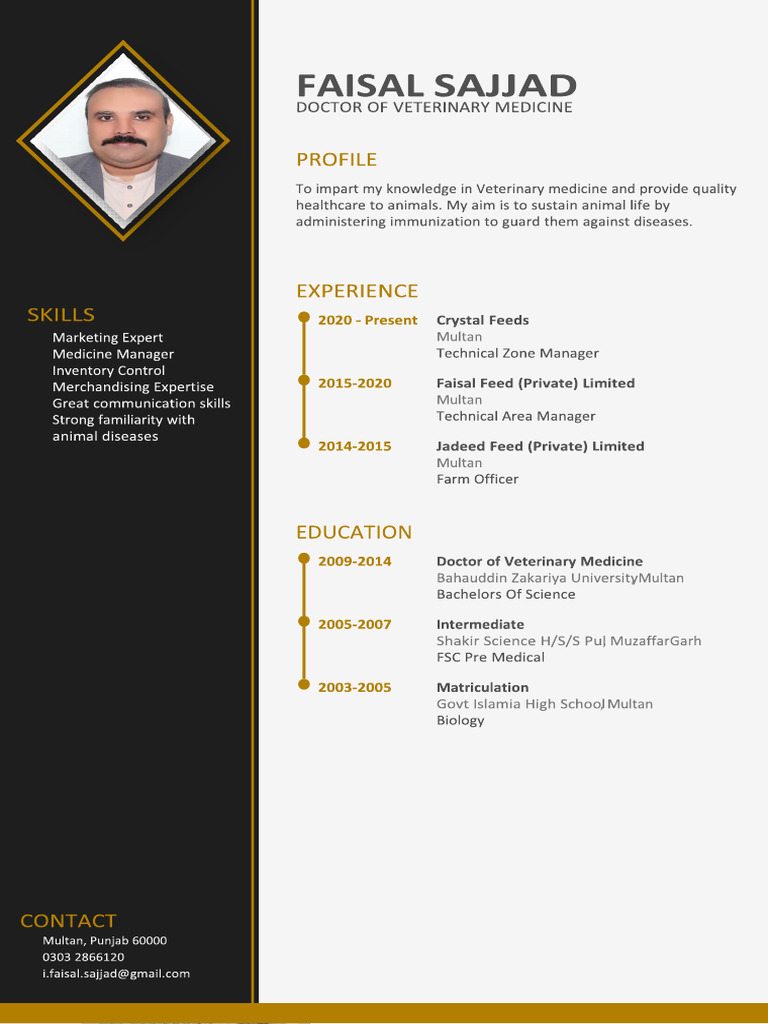 My CV | PDF