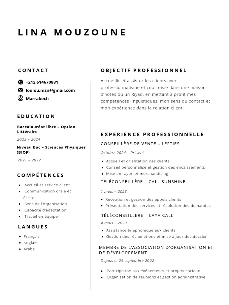 CV Lina | PDF