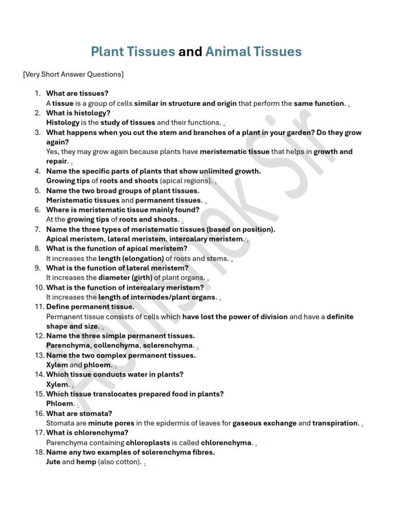 Plant Tissues and Animal Tissues Notes | PDF | Tissue (Biology) | Muscle