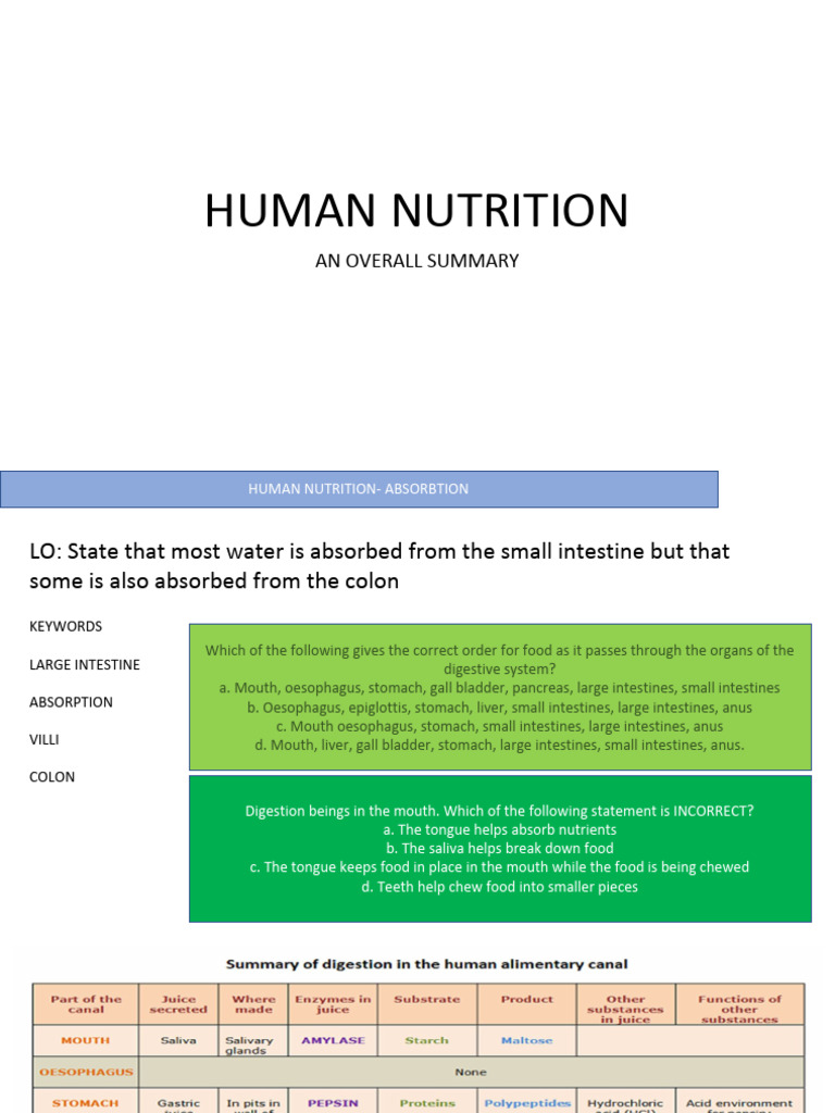 Human Nutrition - Absorption | PDF