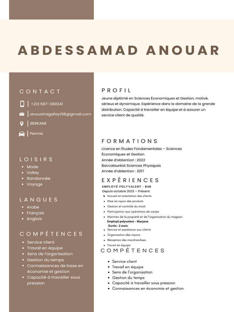 Marron Beige Blanc Simple CV Marketing Moderne | PDF