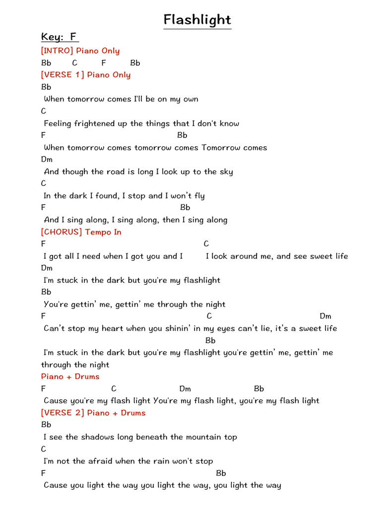 Flashlight | PDF