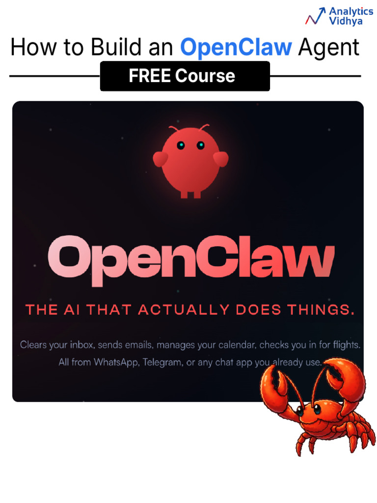 How To Build An OpenClaw Agent | PDF