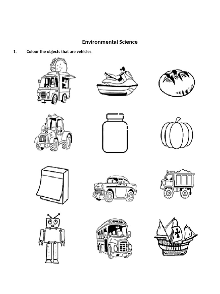 EVS Paper For Kids | PDF