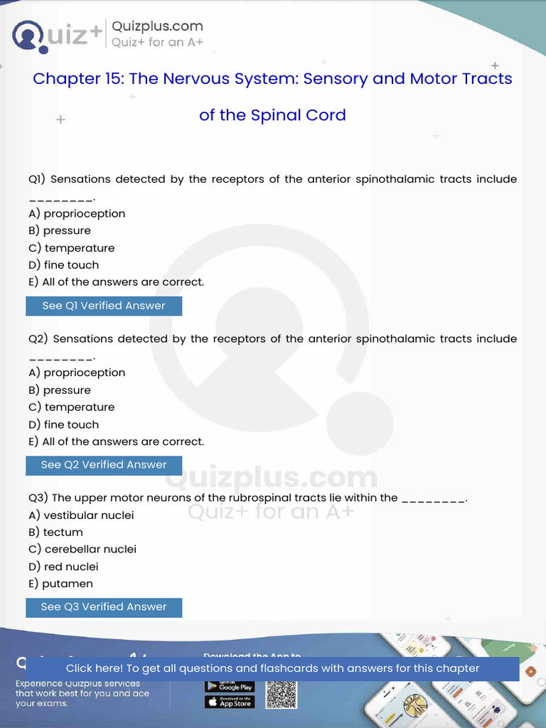Sensations Detected by The Receptors of The Anterior Spinothalamic ...