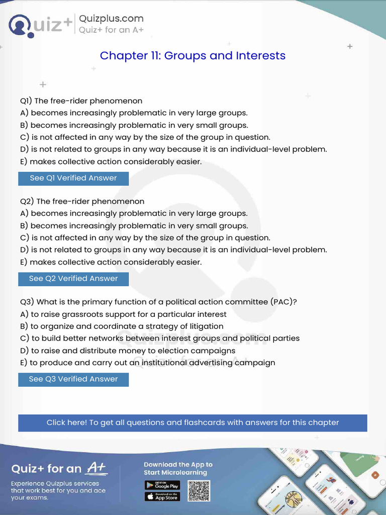 The Freerider Phenomenon | PDF
