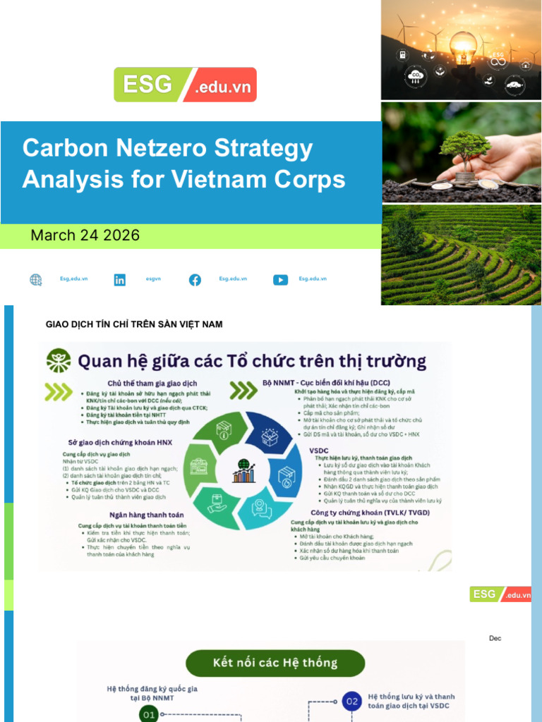 CĐ Corporation - Netzero - ESG - Version | PDF