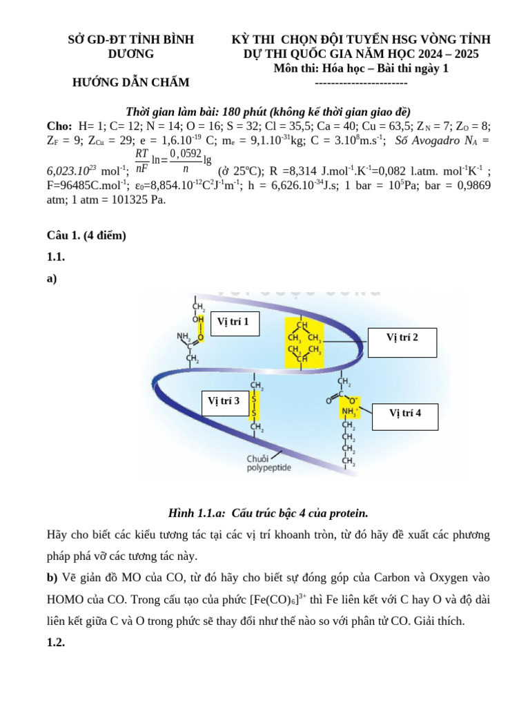 HDC V2-Bd-2024-Ngày 1 | PDF