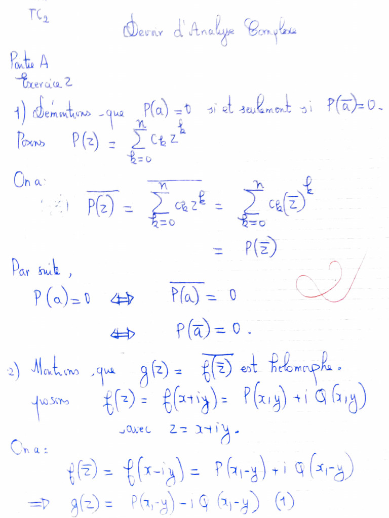 Devoir Analyse Complexe | PDF