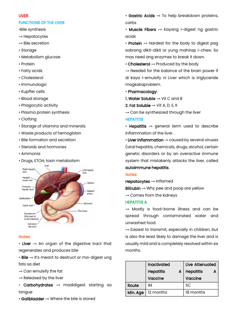 Ms Midterms 1 | PDF