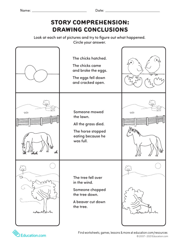 Story Comprehension Drawing Conclusions | PDF