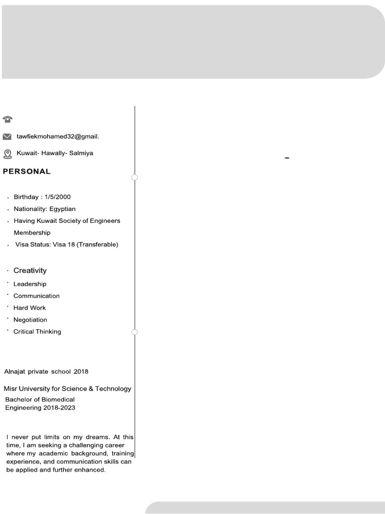CV Eng | PDF