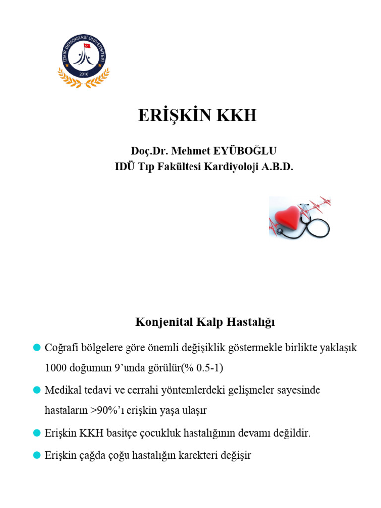 ZzzErişkin KKH PDF | PDF