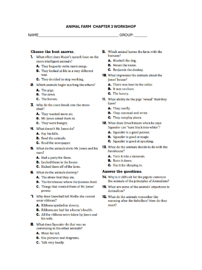 Chapter 3 Workshop | PDF