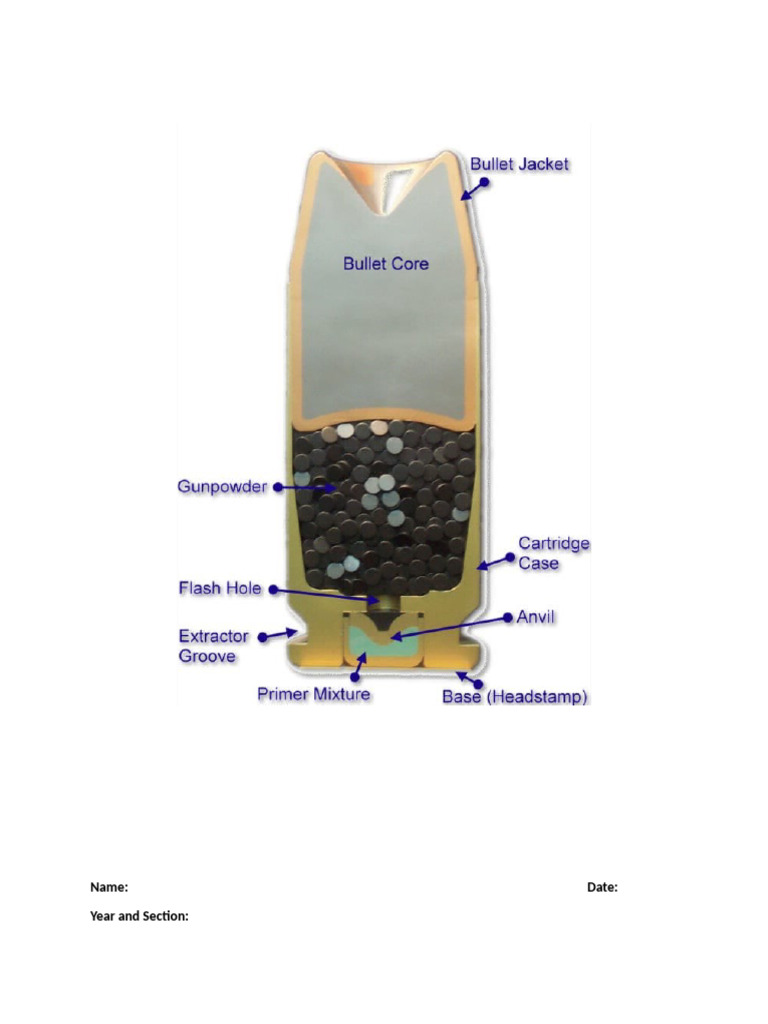 Projectile | PDF