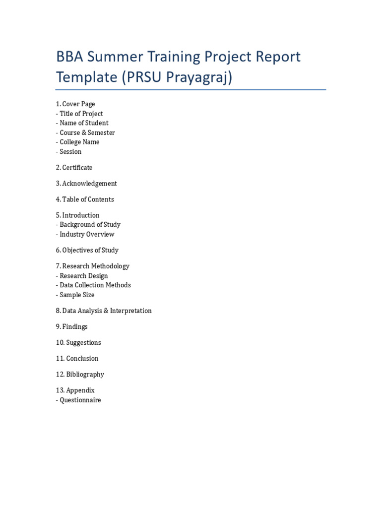 BBA Project Template | PDF