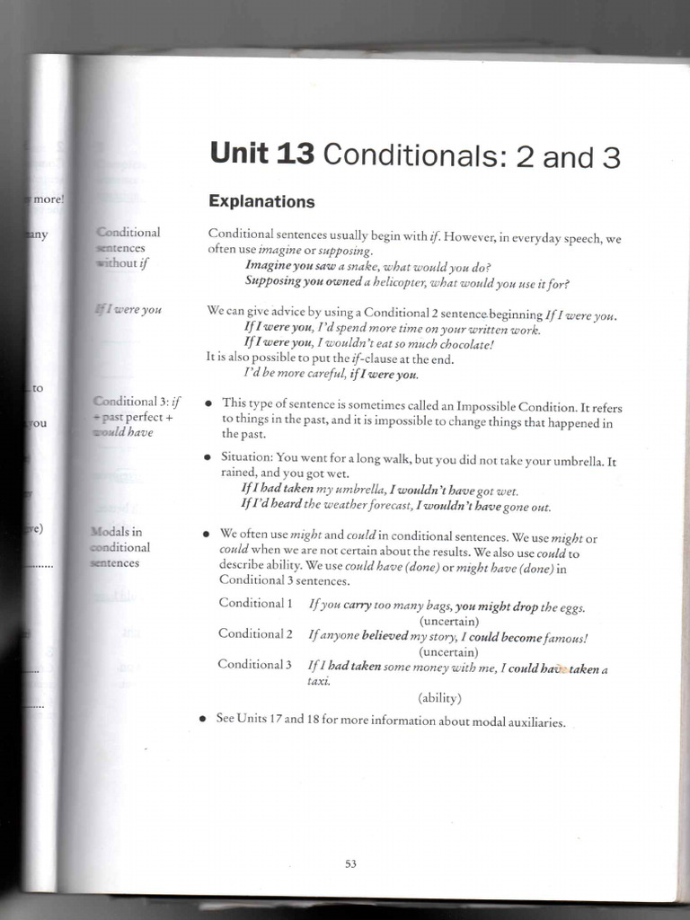 Conditionals 2 and 3 | PDF