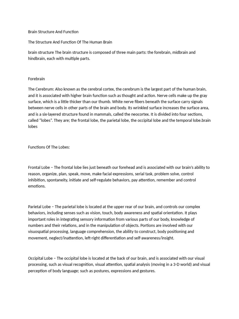Brain Structure and Function | PDF