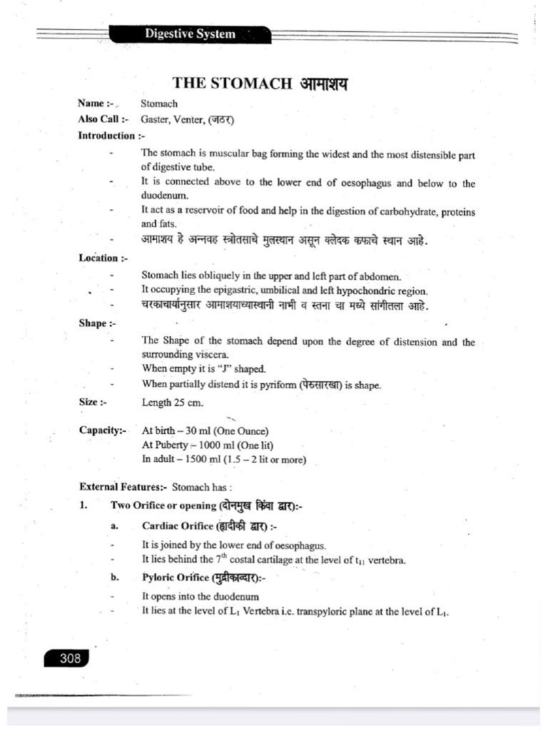 Stomach Short Notes | PDF