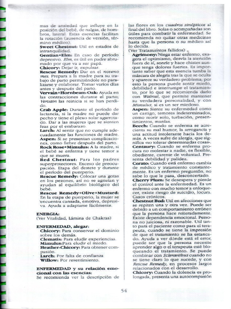 43 | PDF