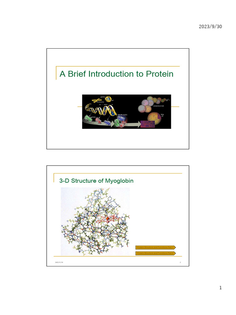 122 A Brief Introduction To Protein | PDF