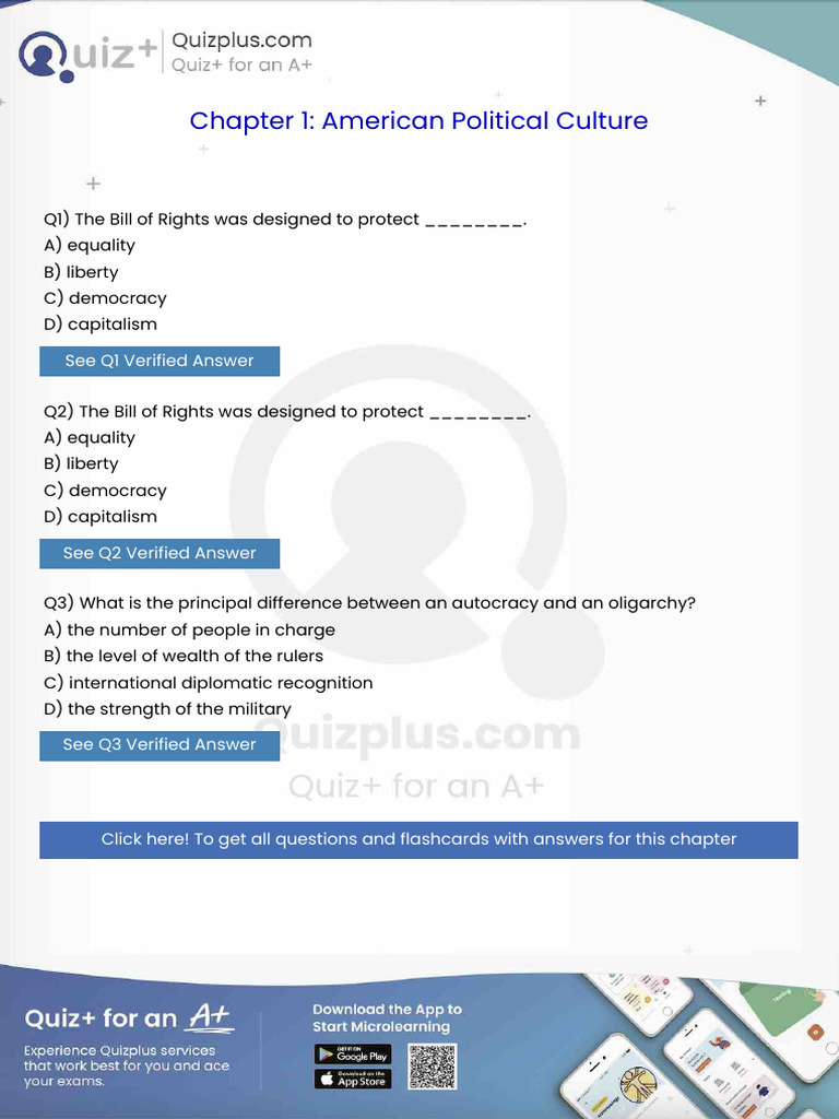 The Bill of Rights Was Designed To Protect | PDF | United States ...