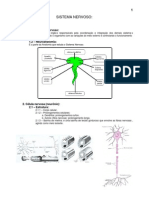 6.Sistema Nervoso Neuroanatomia