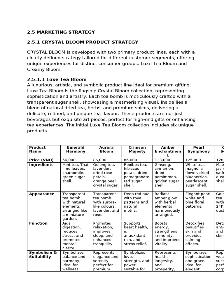 MARKETING Plan New Brand | PDF