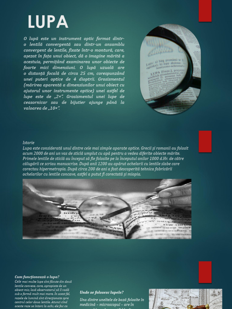 Lupa | PDF