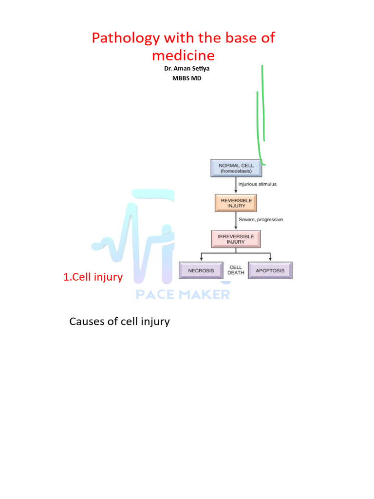 Pathology Work Book | PDF | Apoptosis | Cancer