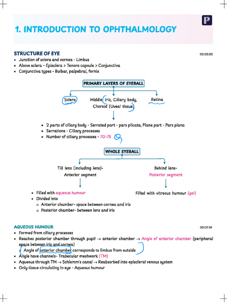Ophthalmology Version X | PDF