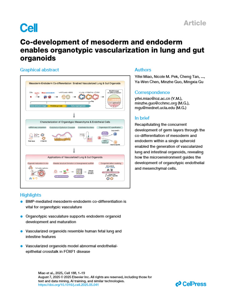 Co Development of Mesoderm and Endoderm Enables Organotypic ...