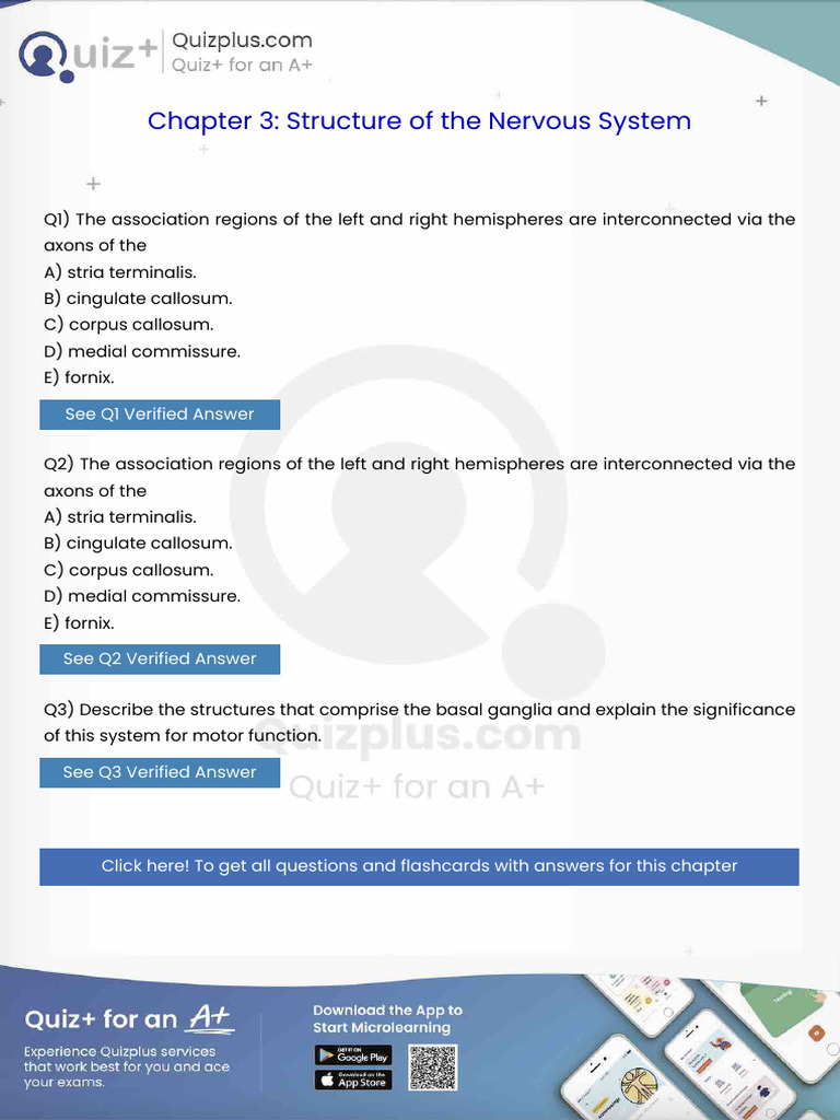 The Association Regions of The Left and Right Hemispheres Are ...