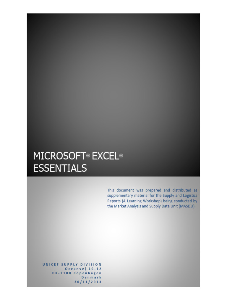 13 - 12 - 03 MS Excel Essentials | PDF