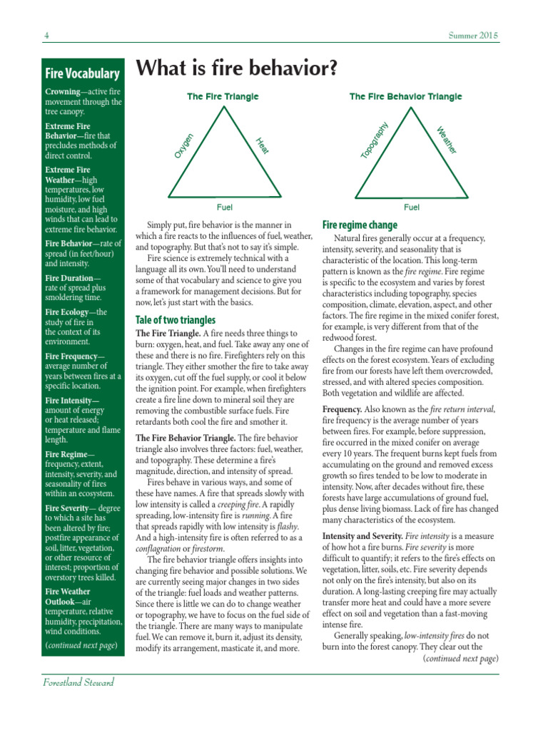 What is Fire Behavior | PDF | Fires | Wildfire