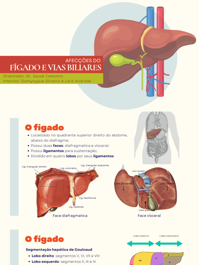 Afecções Do Fígado e Vias Biliares PDF | PDF | Fígado | Bile