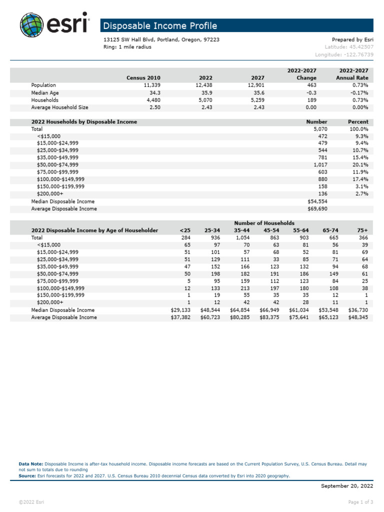 Disposable Income Profile | PDF