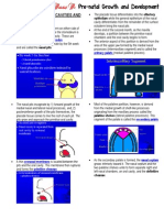 Development of the Nasal Cavities and Palate