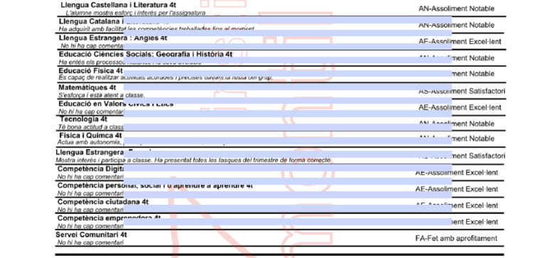 Editable Report Overlay | PDF
