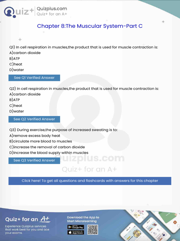 In Cell Respiration in Musclesthe Product That Is Used For Muscle ...