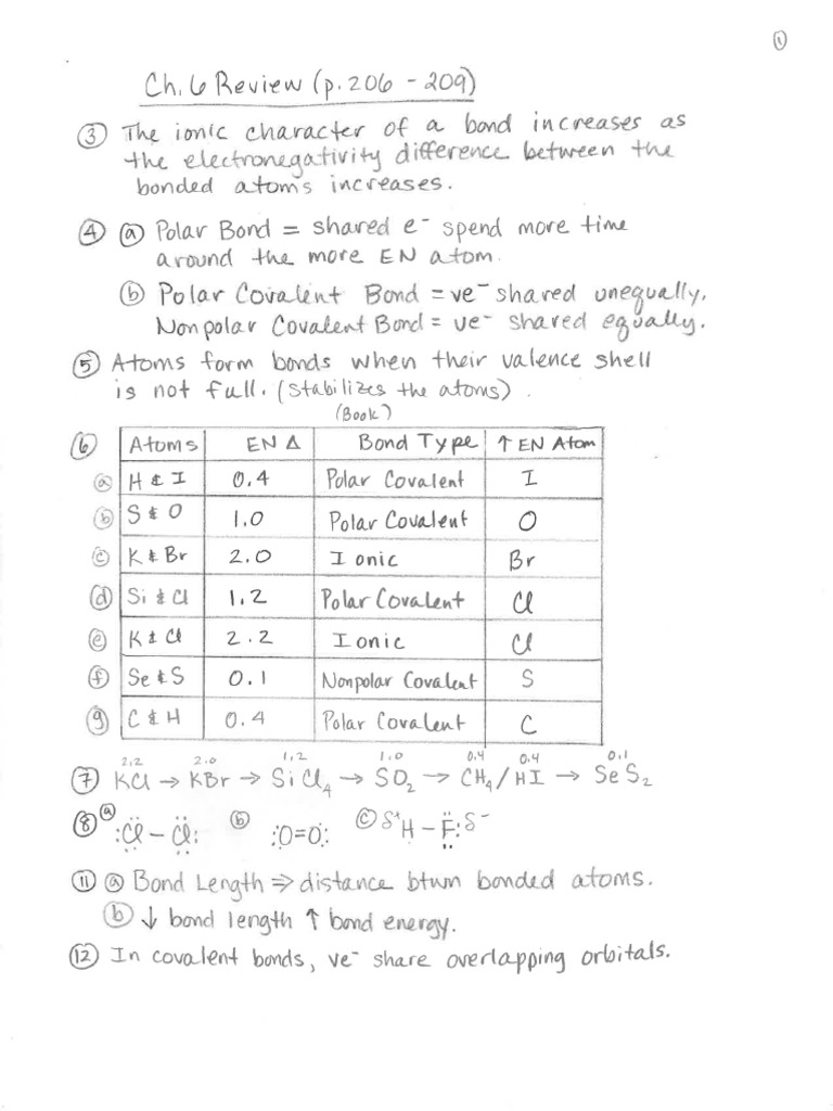 Ch. 6 Review Key | PDF