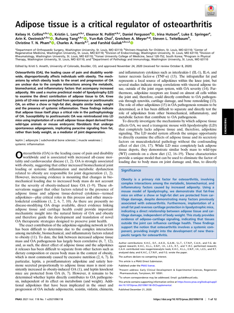 Oa and Adipose Tissue Collins 2024 | PDF