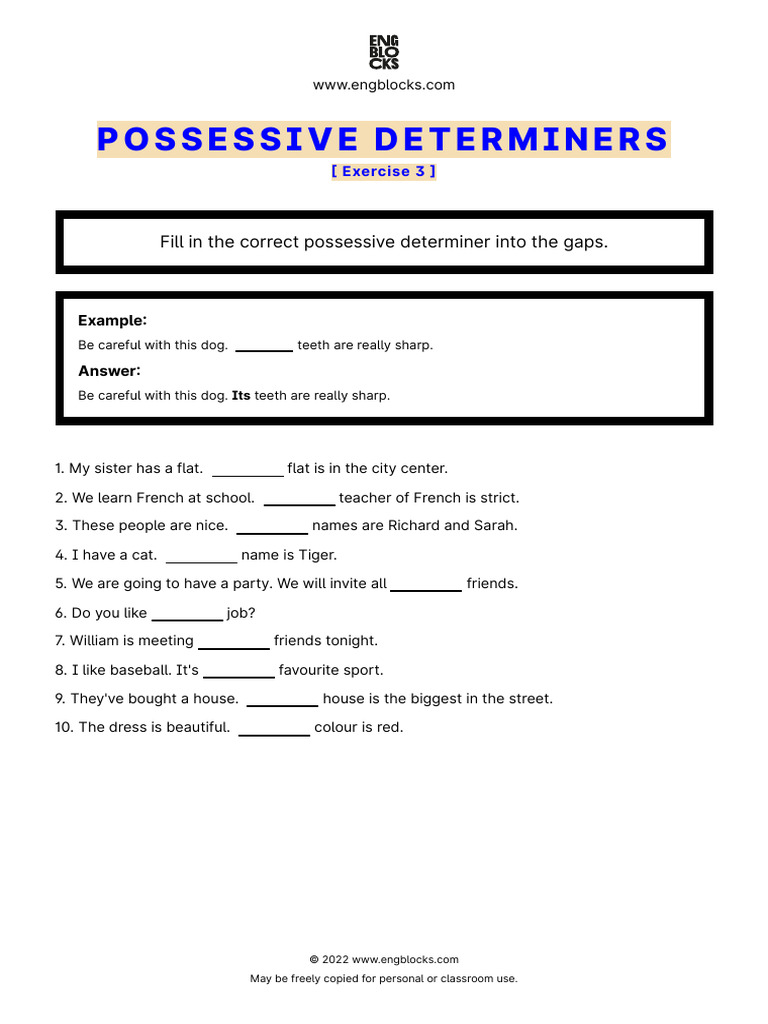 Possessive Adjectives Exercise 3 | PDF