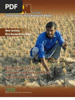 Download International Rice Research Notes Vol 32 No 1 by International Rice Research Institute SN101804873 doc pdf