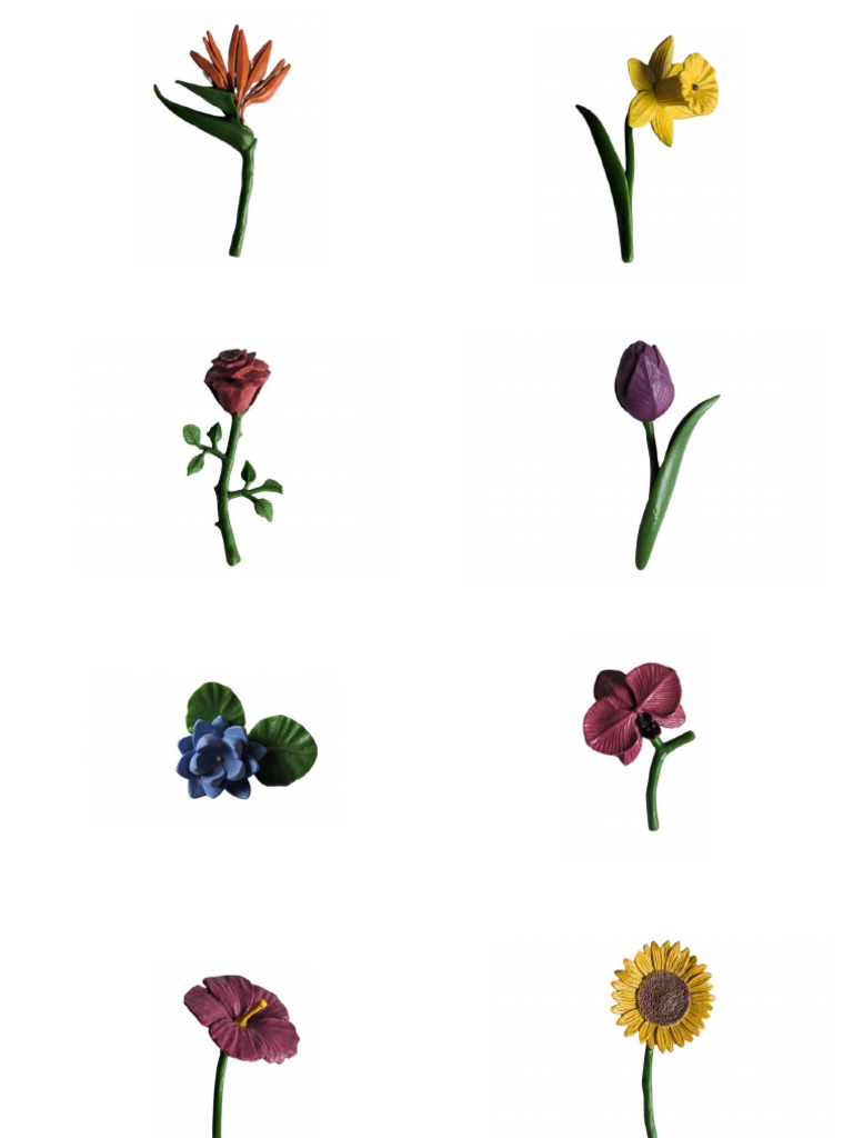 Toobs Flowers Exact | PDF
